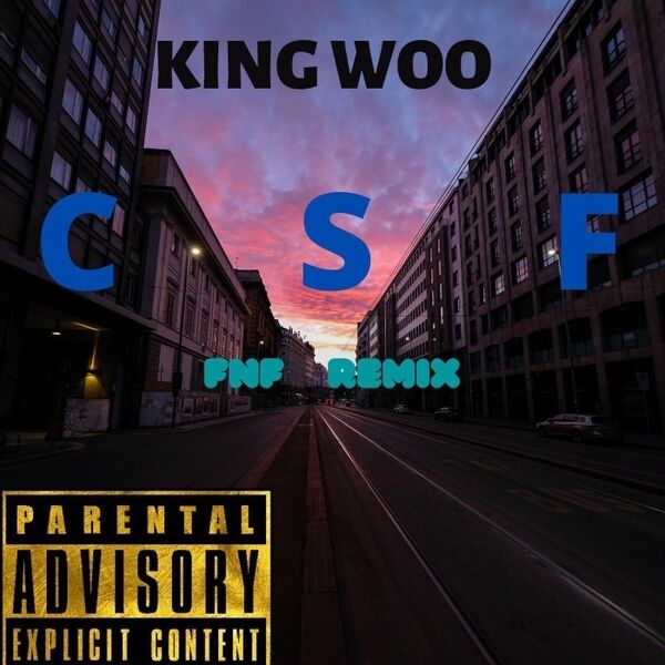 Cover art for Csf (Child Support Free) [Fnf Remix]