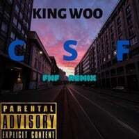 Csf (Child Support Free) [Fnf Remix]